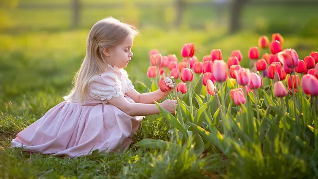 Klein meisje kijkt naar tulpenbloemen 2K achtergrond