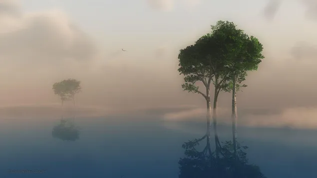 霧の湖の木のリビング ビュー HD 壁紙