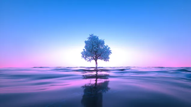 Lone Tree di tengah Laut unduhan