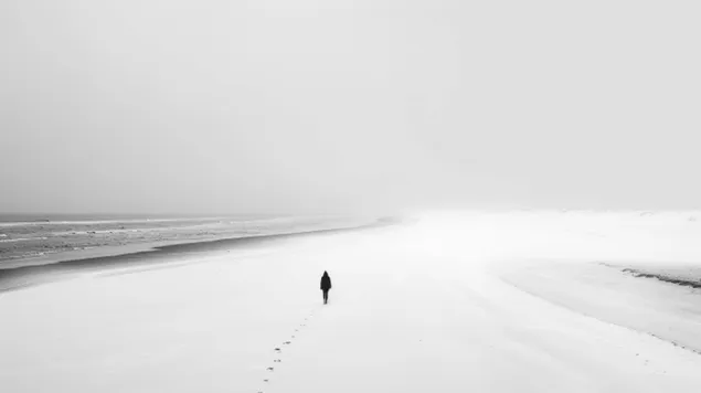 lone wanderer: een minimalistisch strandtafereel in zwart-wit download