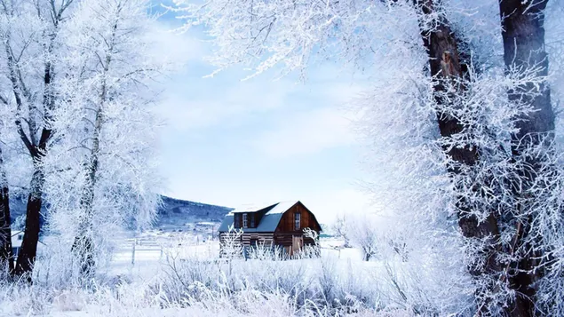 Casa solitaria en un campo nevado 4K fondo de pantalla
