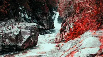 eenzame rivier 4K achtergrond
