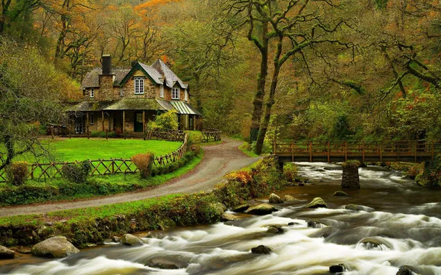 森の春に目覚める自然の美しいデザインの湖の家と水の長時間露光写真