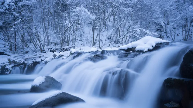 Colpo a lunga esposizione del ruscello che scorre tra pietre innevate vicino ad alberi innevati 4K sfondo