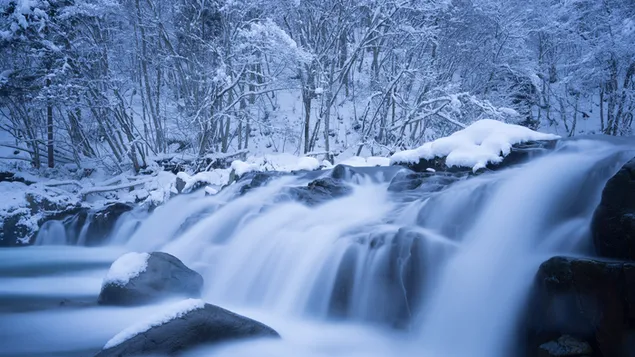 Toma de larga exposición del arroyo que fluye entre piedras nevadas cerca de árboles nevados 4K fondo de pantalla