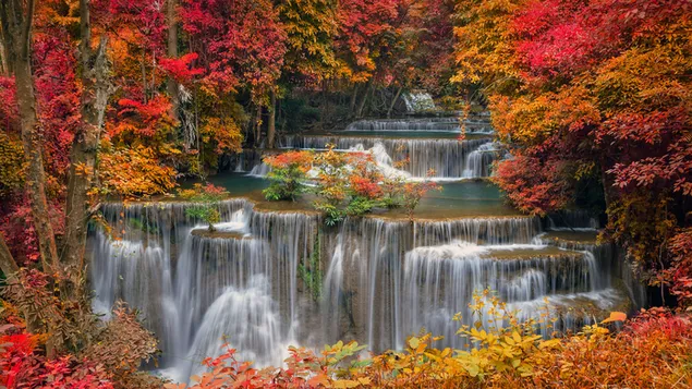 滝の秋の森 ダウンロード