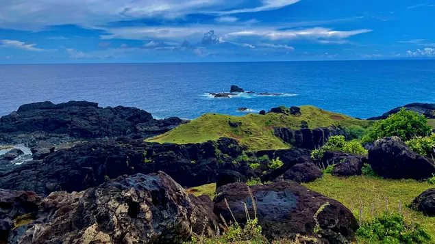 מסתכל על האוקיינוס ​​השקט 4K טפט