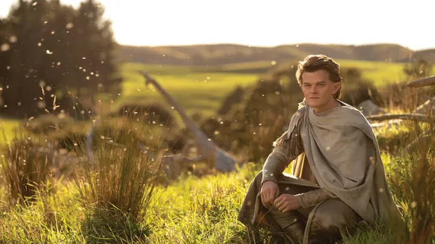 Yüzüklerin Efendisi filmi Güç Yüzükleri Çayır ağaçları pelerinli sarı saçlı adam 4K duvar kağıdı