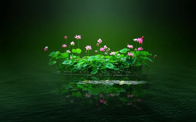 estanque de lotos