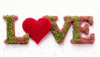 풀의 사랑의 표시 2K 배경화면