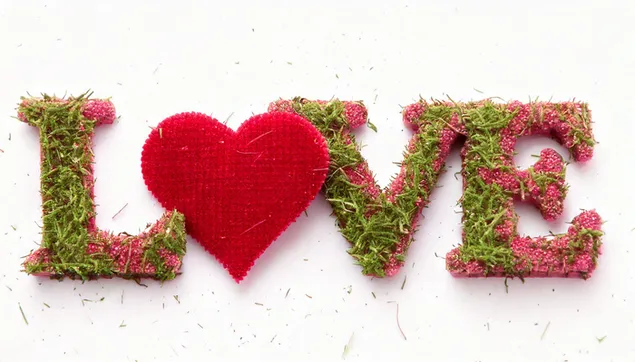 풀의 사랑의 표시 2K 배경화면