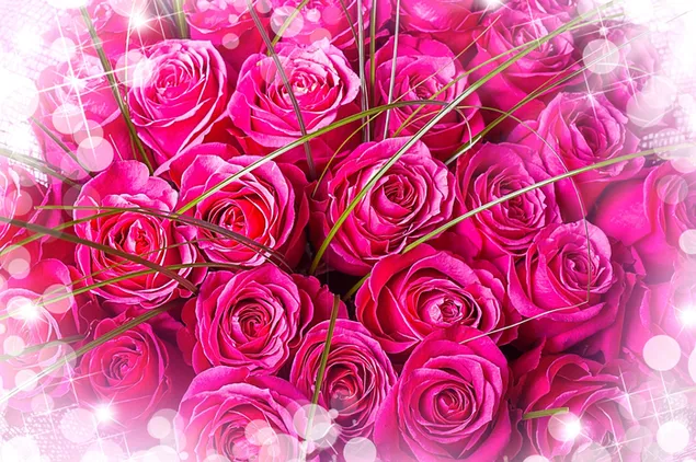 Buket mawar merah muda yang indah