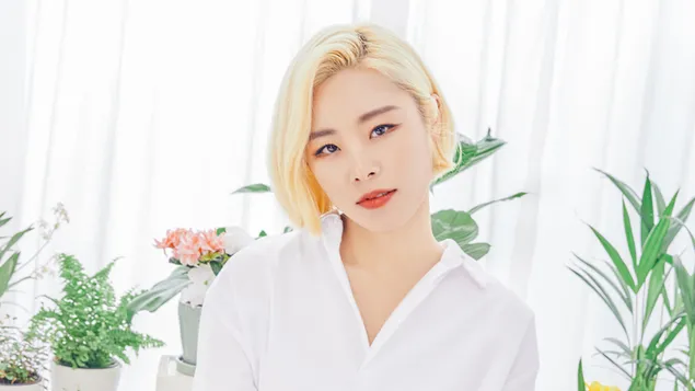 "Wheein" دوست داشتنی از Mamamoo (گروه کی پاپ) کاغذدیواری  4K