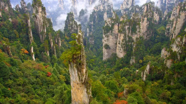 緑の赤い木々と中国の霧のための巨大な崖のある天門山 ダウンロード