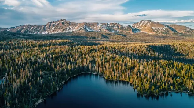 Luchtfoto van bos en bergen download