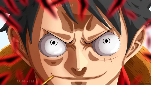 Luffy Conqueror's Haki - One Piece