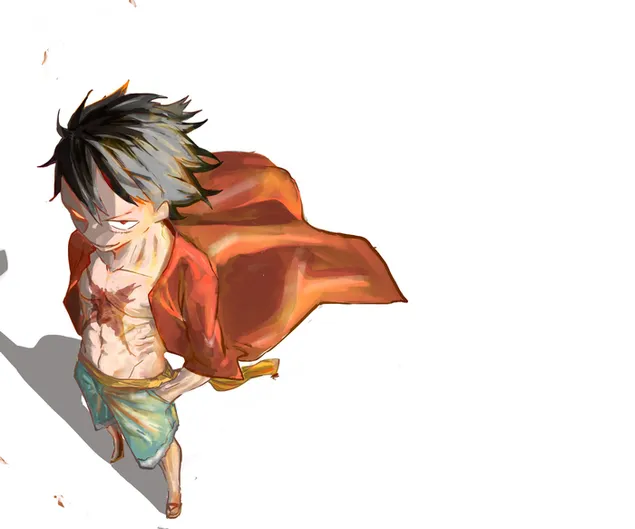 Luffy Scary Look