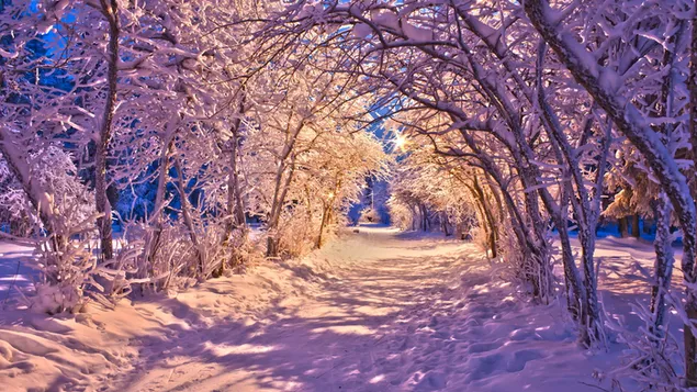 Luminen talvipolku lataa