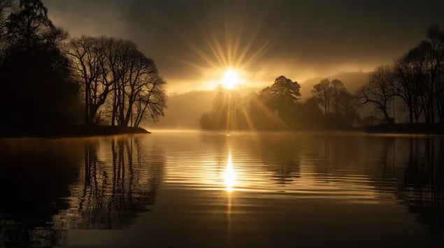 lysende solopgang over en rolig so og silhueterede traeer download