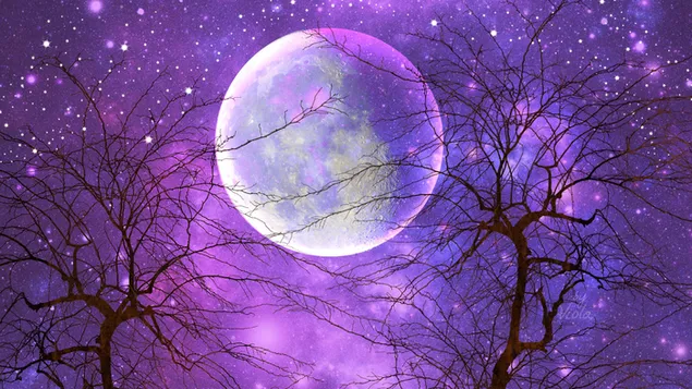 Luna llena en una noche estrellada descargar