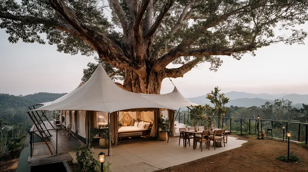 luxe glampingresort onder een grote eeuwenoude boom download