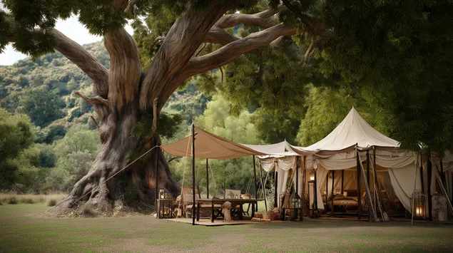 luxe glampingtent onder een majestueus eeuwenoud boomdak download