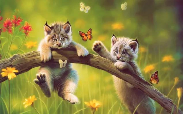 Lynx kittens en vlinders HD achtergrond