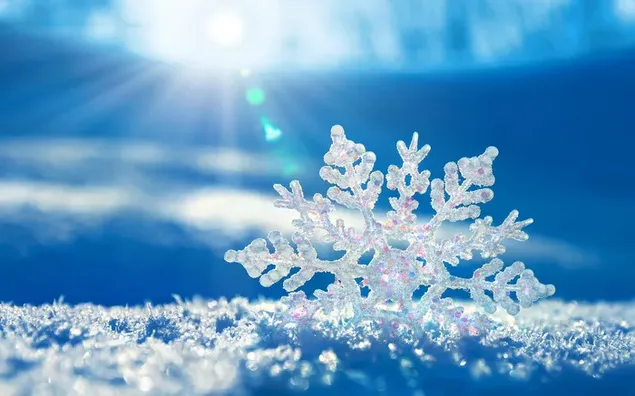 Macro shot of snowflake captured under blurred background sunlight