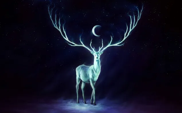 Magical Deer download
