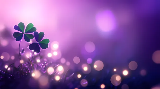 Semanggi Empat Daun Ajaib dalam Senja 6K kertas dinding