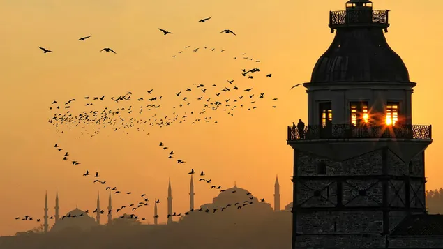 Maiden's Tower or Kizkulesi in Turkish in Istanbul photography with birds and Blue Mosque shadow