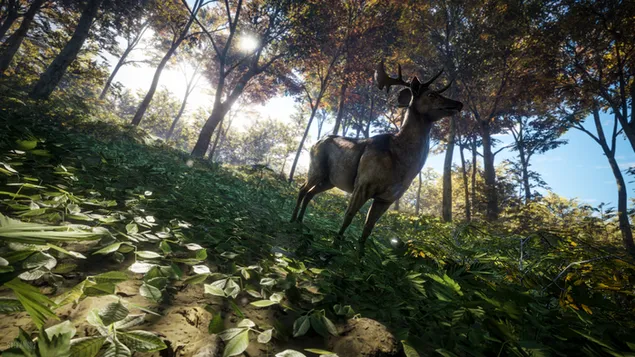 Majestic deer