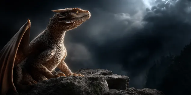 Tapeta Majestátny drak sediaci pod dramatickou oblohou 2K