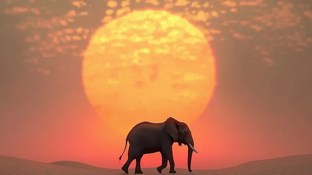 Шпалери Величний слон позаду сонця в пустелі 2K
