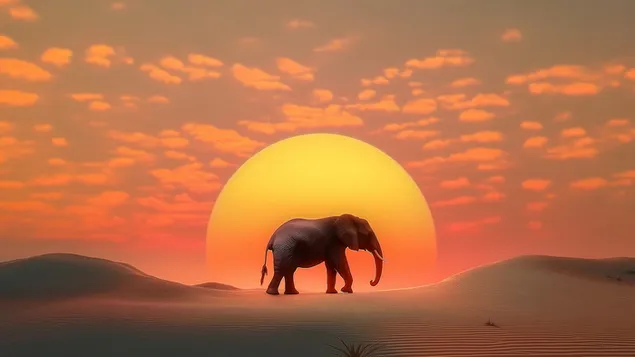 majestatny slon v pusti stiahnut