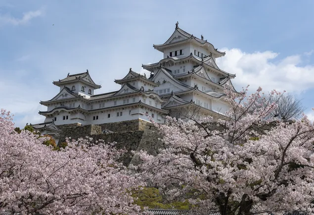 Majestätisches historisches japanisches Schloss