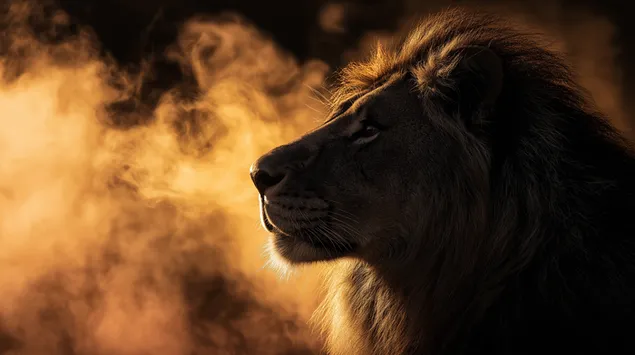 megaloprepes prophil liontariou se phlogere atmosphairike lampse lepse