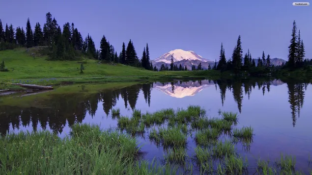 Majestuoso paisaje natural de picos nevados y árboles reflejados en el lago HD fondo de pantalla