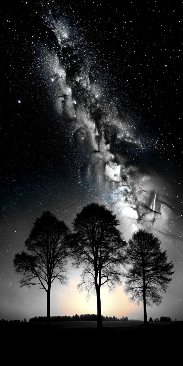 Kozmik Güzelliği Sunan Yıldızlar ve Galaksilerle Siluetli Ağaçlar Üzerindeki Görkemli Gece Gökyüzü 2K duvar kağıdı