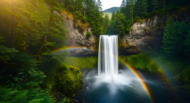 郁郁葱葱的森林中，壮丽的瀑布和彩虹映入眼帘。 4K 壁纸