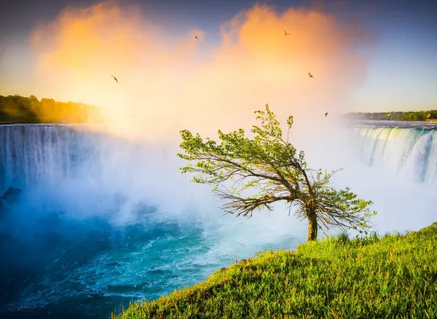 Majestueuse waterval HD muurpapier