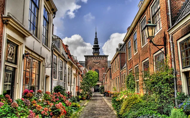 بناء من صنع الإنسان HD خلفية