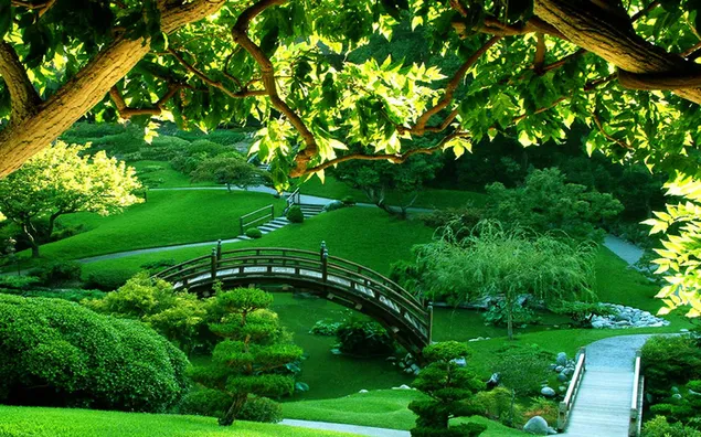 Зелен пејзаж создаден од човекот HD тапет
