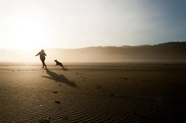 Man rent en speelt met zijn hond op het strand bij zonsopgang 2K achtergrond