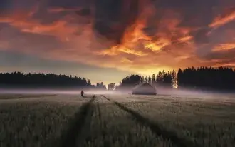 covjek hoda izmedu drvene kuce i biljaka u magli medu crvenim oblacima i siluetama drveca preuzmi