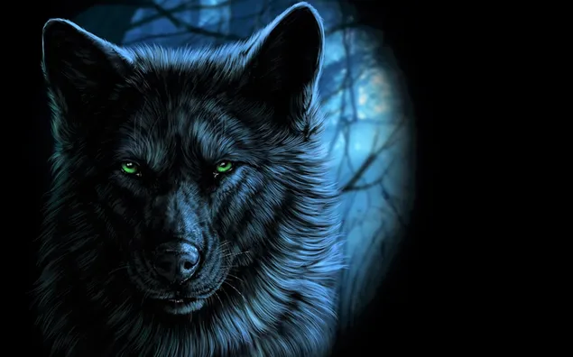 満月の光によるオオカミ