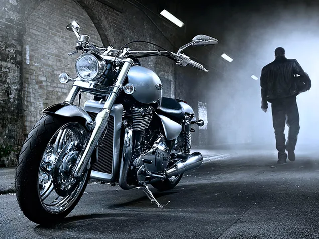 Mann mit Harley Davidson
