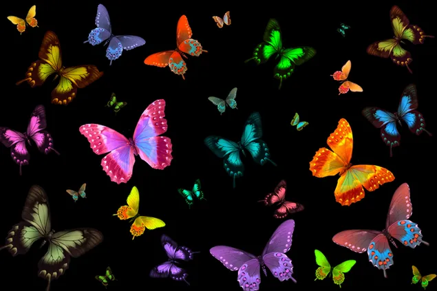 Muchas mariposas coloridas 4K fondo de pantalla