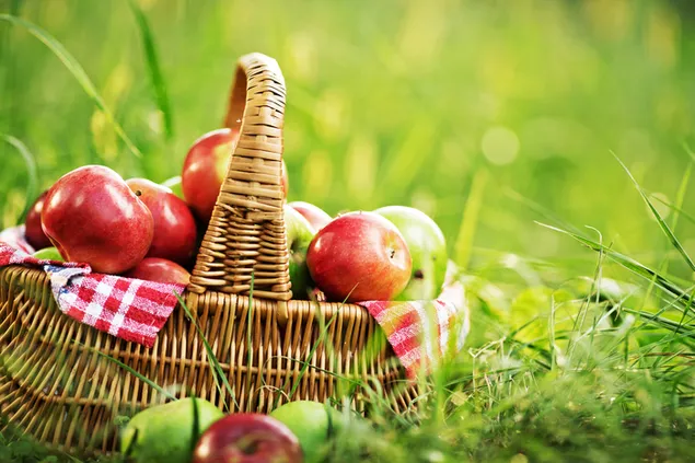 manzana, cesta de frutas descargar