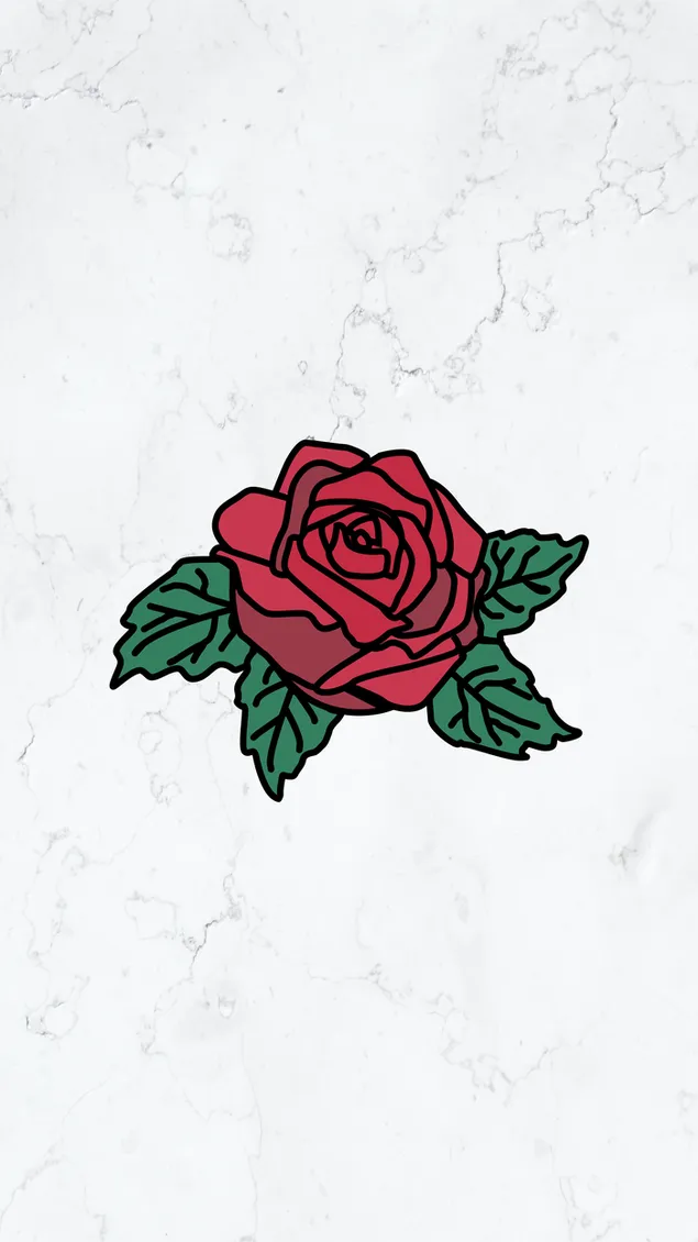 hoa hồng cẩm thạch
